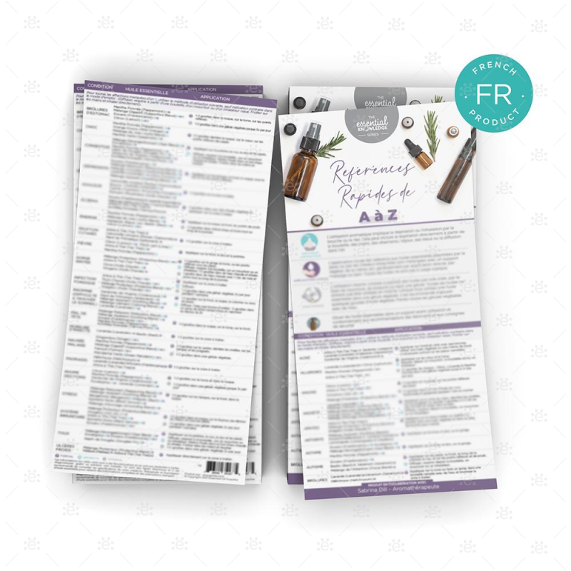 Essential Knowledge Series - Quick Reference A-Z Card (Pk Of 25) French-Fr Rack Cards