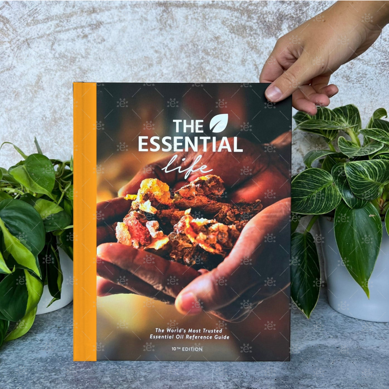 The Essential Life Book 10th Edition - ENGLISH