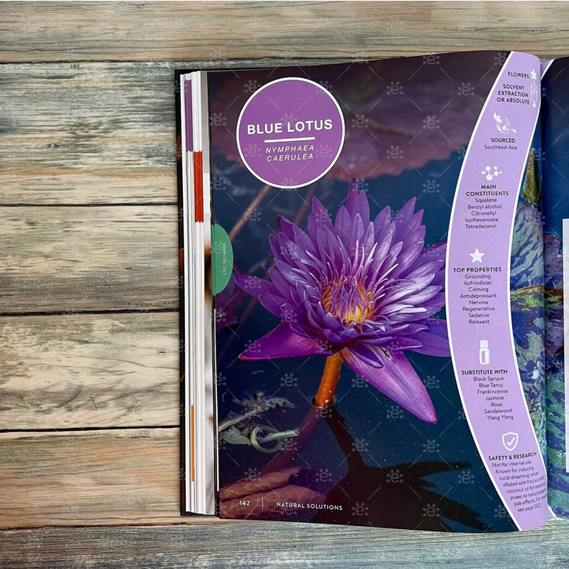 The Essential Life Book 10th Edition - ENGLISH