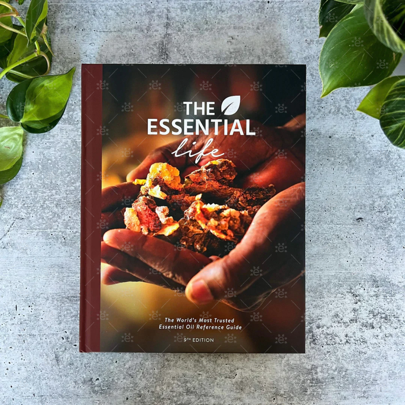 The Essential Life 9th Edition [Virtual Book] - ENGLISH