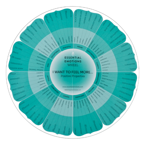 Essential Emotions Wheel 2025, 14th Edition – English